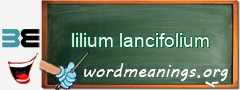 WordMeaning blackboard for lilium lancifolium